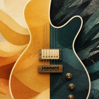 Overdrive vs Distortion for Beginners: Hear and Feel the Difference